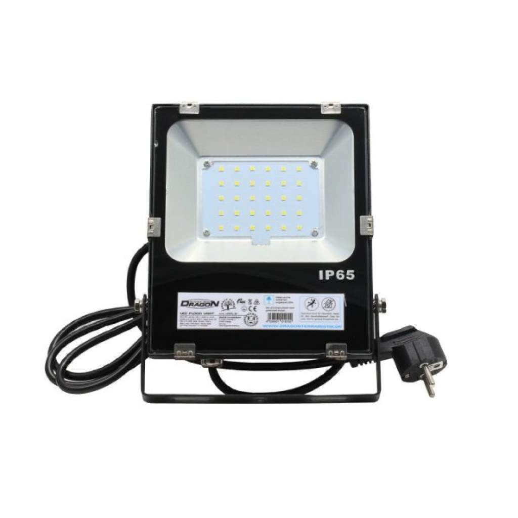 LED Flood Light